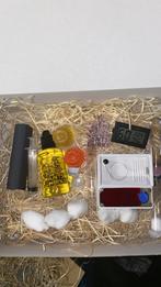 Lasius Niger pour fourmis avec nid dans une boîte cadeau, Animaux & Accessoires, Insectes & Araignées, Fourmis