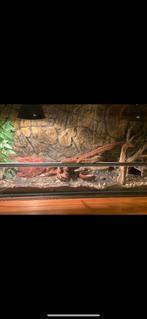 Terrarium KOOPJE!, Dieren en Toebehoren, Ophalen, Zo goed als nieuw