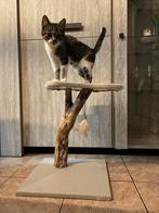 Arbre a chat, Animaux & Accessoires, Neuf