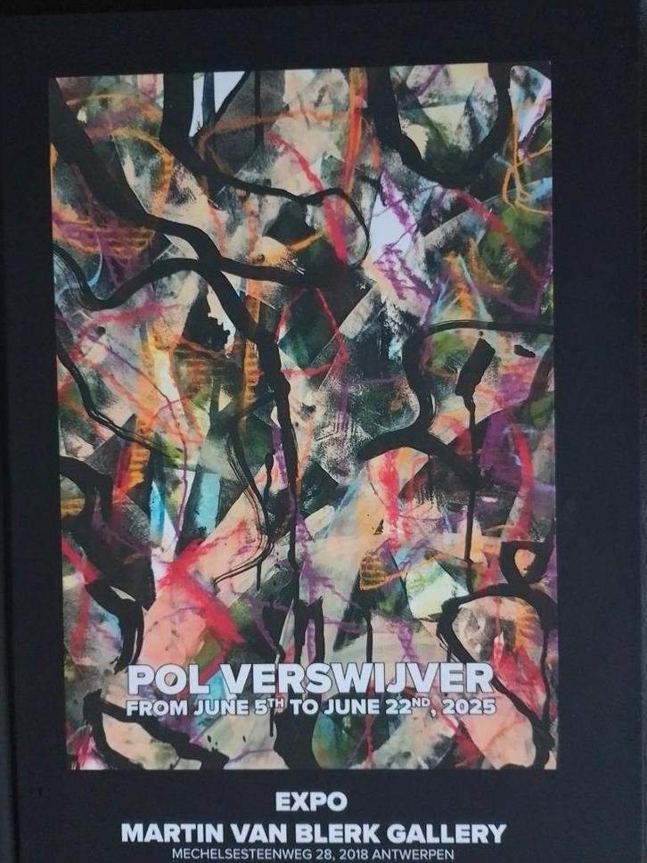 Pol Verswijver  1    Monografie, Boeken, Kunst en Cultuur | Beeldend, Nieuw, Schilder- en Tekenkunst, Verzenden
