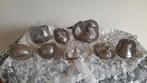 Oude chocolade vormen., Divers, Enlèvement ou Envoi, Utilisé