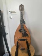 Jean Rowies/Lucien GELAS 1932 dubbele tafelmandoline, Muziek en Instrumenten, Snaarinstrumenten | Mandolines, Ophalen of Verzenden