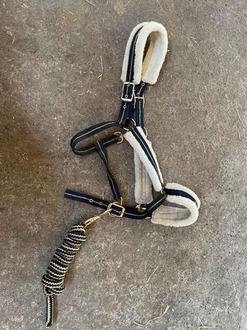 Horsegear Halster Horsegear Hglyx Zwart beschikbaar voor biedingen