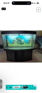 aguarium 120/46/64 alles ik kan je berengen, Ophalen of Verzenden
