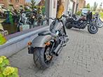 harley fatboy- 2018- 9900 km, 2 cilinders, 1745 cc, Chopper, Bedrijf
