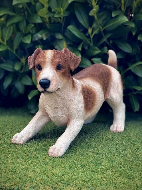 Jack Russel, Tuin en Terras, Tuinbeelden, Nieuw, Dierenbeeld, Overige materialen, Ophalen