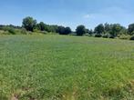 Landbouwgrond te koop in Geel.