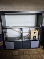knaagdierenkooi met verlichting, caviaflat, Dieren en Toebehoren, Ophalen, Hamster, 90 cm of meer, Hok