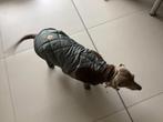 Teckel jasje, Dieren en Toebehoren, Hondenkleding, Ophalen, Zo goed als nieuw, Hondenregenjas