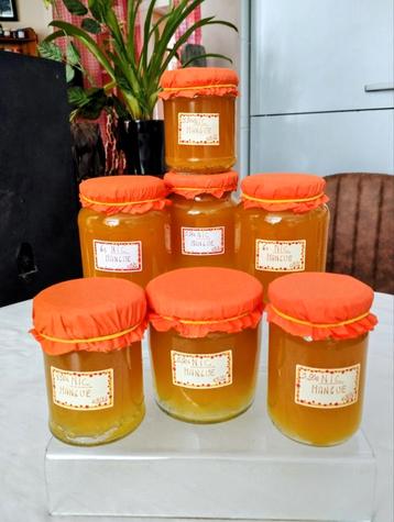 Confiture MAISON ARTISANALE à la MANGUE  beschikbaar voor biedingen