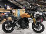 Suzuki GSX-8T, Bedrijf, Meer dan 35 kW, 800 cc, Naked bike