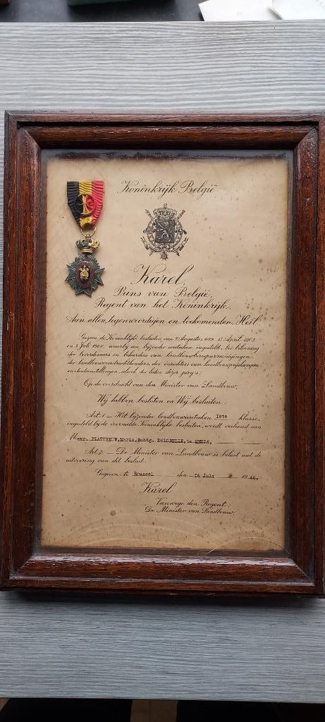 zeldzaam ereteken uitgereikt door Prins Karel, regent, Antiek en Kunst, Curiosa en Brocante, Verzenden