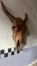 Decoratie schedel polyresin donkerbruin, Huis en Inrichting, Ophalen, Zo goed als nieuw