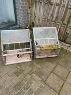 Spoetnik voor duiven, Postduif