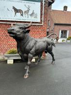 Prachtige GROTE bronzen stier levensechte, Tuin en Terras, Tuinbeelden, Ophalen, Dierenbeeld