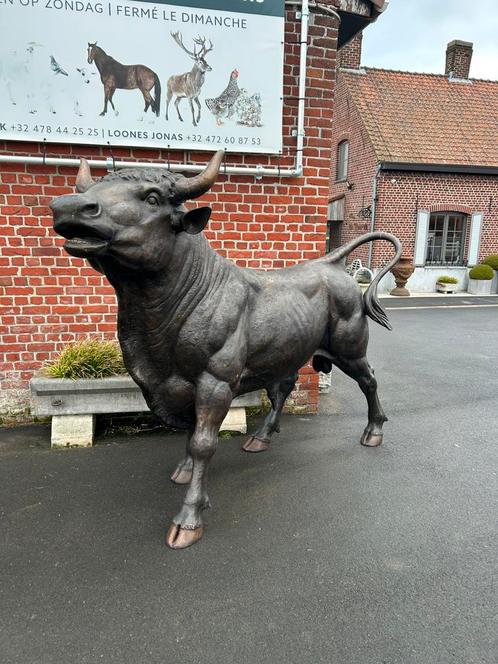 Prachtige GROTE bronzen stier levensechte, Tuin en Terras, Tuinbeelden, Dierenbeeld, Ophalen