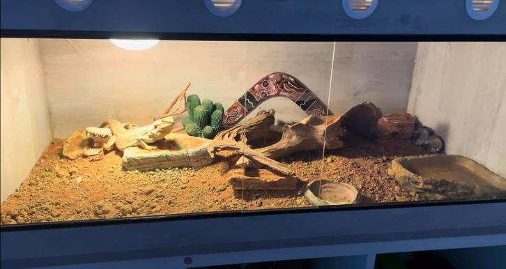 Complete terrariumset, Dieren en Toebehoren, Reptielen en Amfibieën | Toebehoren, Gebruikt, Terrarium of Paludarium, Ophalen