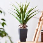 Plante artificielle Aloe Verra, Comme neuf