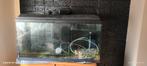 Aquarium, Dieren en Toebehoren, Vissen | Aquaria en Toebehoren, Ophalen, Zo goed als nieuw