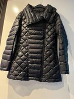 Mer du Nord donsjas maat 34, Kleding | Dames, Jassen | Winter, Zwart, Ophalen of Verzenden, Maat 34 (XS) of kleiner, Gedragen
