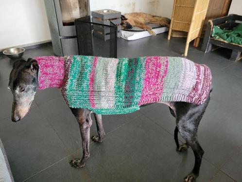 Pull fait main pour chien, Dieren en Toebehoren, Hondenkleding, Nieuw, Hondenjas, Verzenden