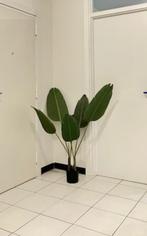 Strelitzia kunstplant hoogte 125 cm met 6 grote bladeren, Ophalen of Verzenden, Zo goed als nieuw, Binnen