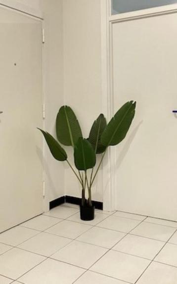 Strelitzia kunstplant hoogte 125 cm met 6 grote bladeren beschikbaar voor biedingen