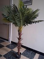 Kunst Palmboom goede kwaliteit H 1.35 m zie foto's, Ophalen, Zo goed als nieuw