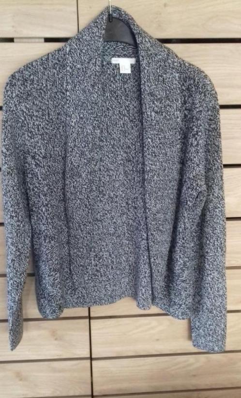 Vest H&M medium - NIEUW, Vêtements | Femmes, Pulls & Gilets, Neuf, Taille 38/40 (M), Gris, Enlèvement ou Envoi