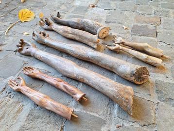 Armen corpus Christi beschikbaar voor biedingen