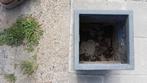 Bloempotten, Ophalen, Kunststof, Gebruikt, Tuin
