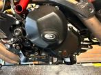 Crashprotection motor Ducati Hypermotard 959