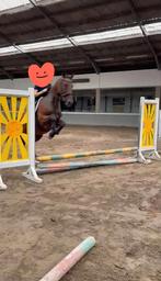 17 jarige, verkeersmak, tob brave ruin, Gechipt, B, Ruin, 160 tot 165 cm