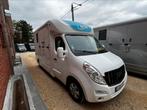 Mooie STX paardencamionette 60 000km!!!!, Ophalen