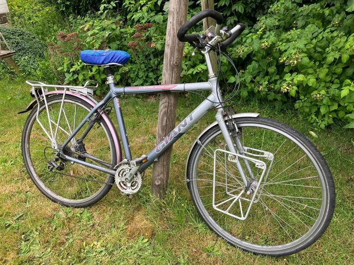 Fiets, Fietsen en Brommers, Fietsen | Dames | Damesfietsen, Gebruikt, Giant, Versnellingen, 50 tot 53 cm, Ophalen