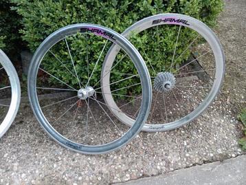  3 roues campagnolo shamal 650cc beschikbaar voor biedingen