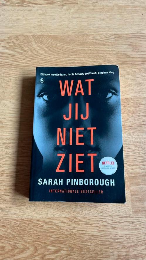 Sarah Pinborough - Wat jij niet ziet, Boeken, Thrillers, Zo goed als nieuw, Ophalen of Verzenden