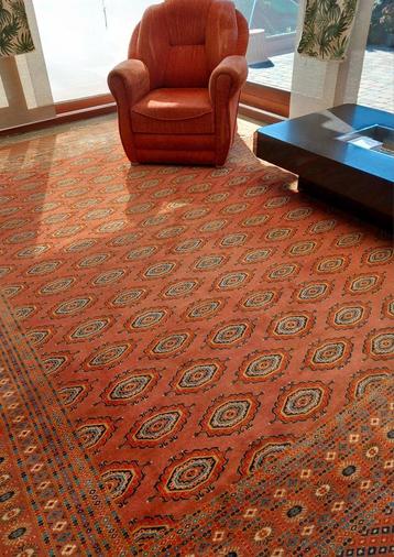Pakistaans Noach handmade tapijt 380 x 280 cm  beschikbaar voor biedingen