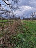 Weide te huur  halle zoersel, Dieren en Toebehoren, Stalling en Weidegang, Weidegang