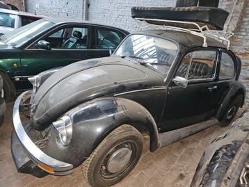 Coccinelle, Autos, Entreprise, Achat