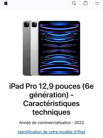 iPad Pro 12,9  beschikbaar voor biedingen