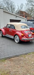 Vw kever, Autos, Volkswagen, Cuir, Radio, Achat, Coccinelle