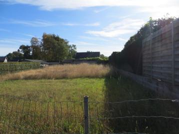 Gras voeder te maaien / gratis beschikbaar voor biedingen