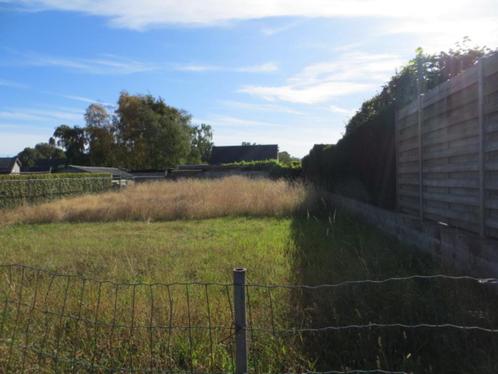 Gras voeder te maaien / gratis, Dieren en Toebehoren, Stalling en Weidegang, Weidegang