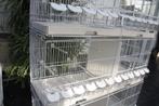 Cages d'élevage & cages d'élevage, Animaux & Accessoires, Oiseaux | Cages & Volières, Cage d'élevage, Enlèvement ou Envoi, Métal