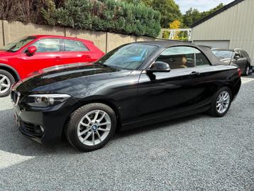 BMW 218 Cabrio 218iA Advantage beschikbaar voor biedingen