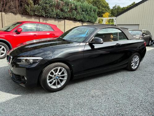 BMW 218 Cabrio 218iA Advantage, Auto's, BMW, Bedrijf, Te koop, 2 Reeks, ABS, Airbags, Airconditioning, Alarm, Bluetooth, Boordcomputer