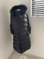 Zwarte bodywarmer maat 42 superstar, Ophalen of Verzenden, Zo goed als nieuw, Maat 42/44 (L), Zwart