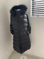 Gilet noir taille 42 Superstar, Vêtements | Femmes, Blousons sans Manches, Enlèvement ou Envoi, Comme neuf, Taille 42/44 (L), Noir