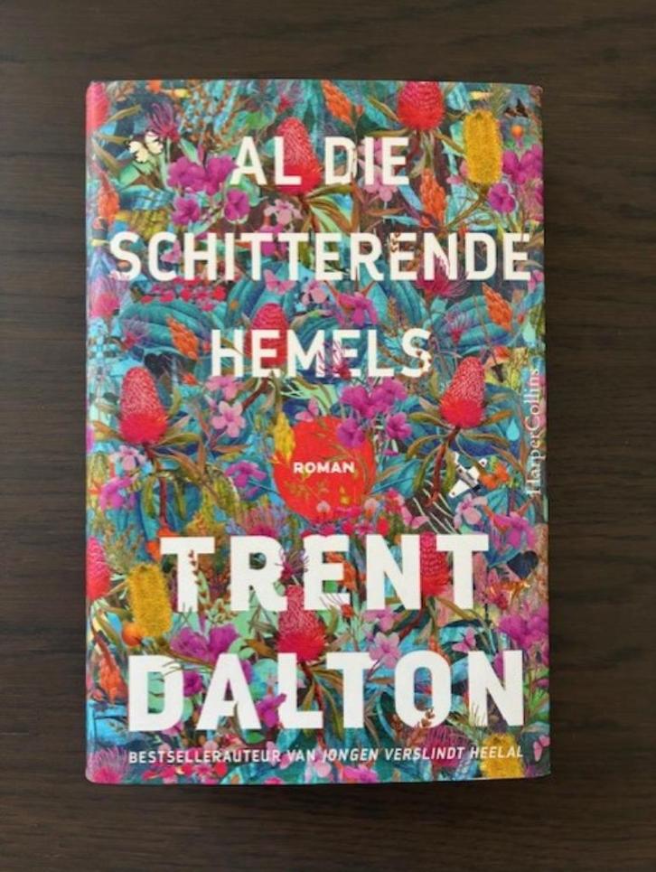 Alle schitterende hemels, Boeken, Literatuur, Nieuw, België, Ophalen of Verzenden